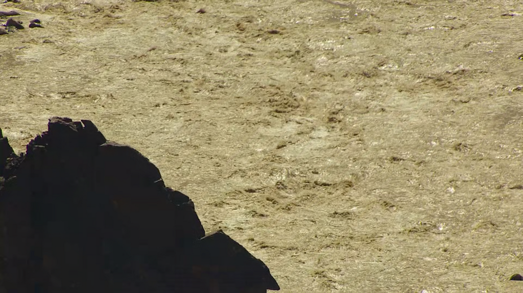 [Image: qqm6ypue837n.png]