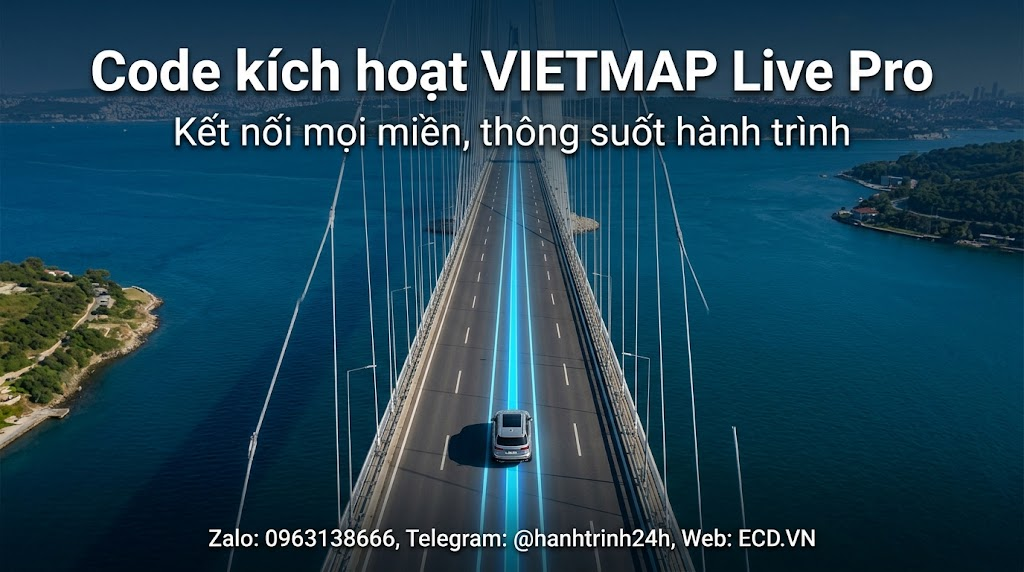vietmap pro registration code