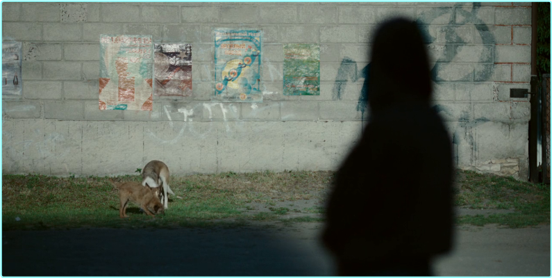 [Image: aztap4hfz849.png]