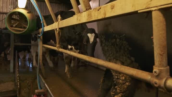 [Image: 8jorw7rn9d4d.jpg]