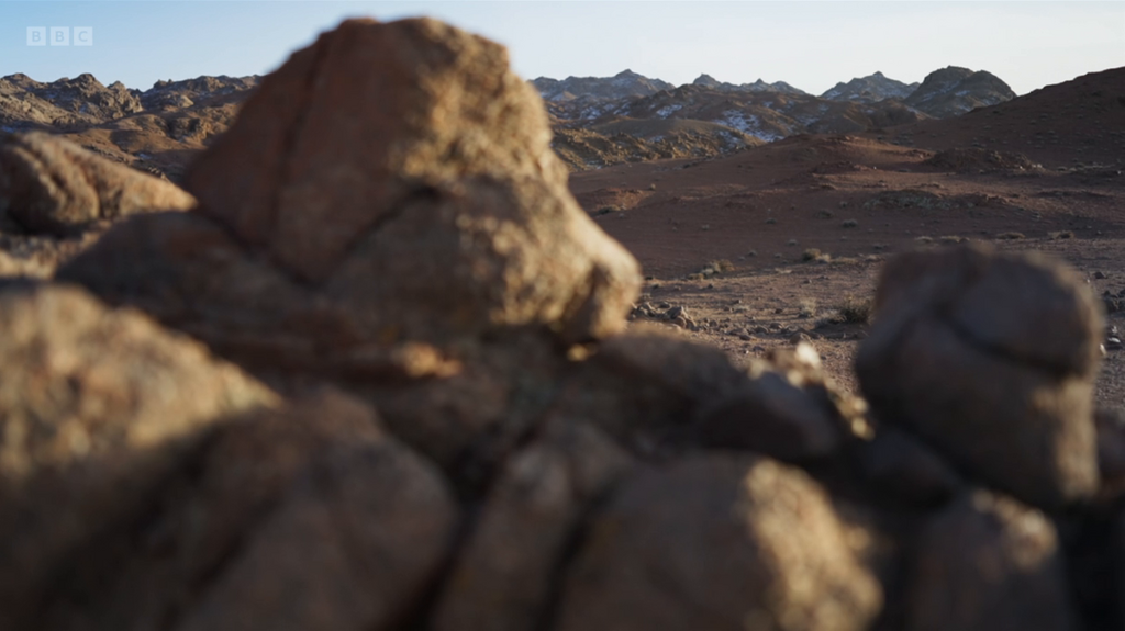 [Image: wm1xs19oy0zz.png]