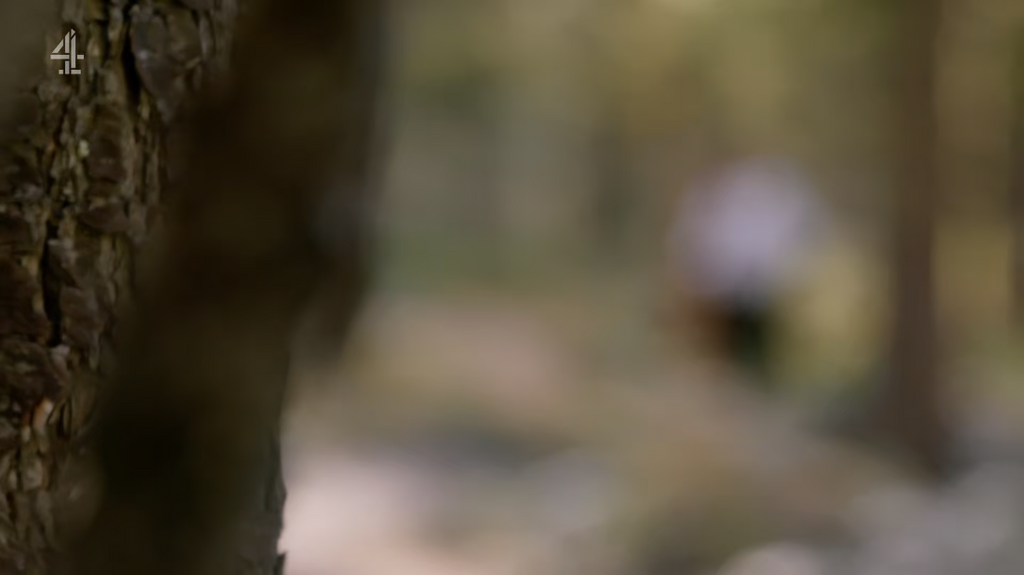 [Image: vl5rl67ieav2.png]