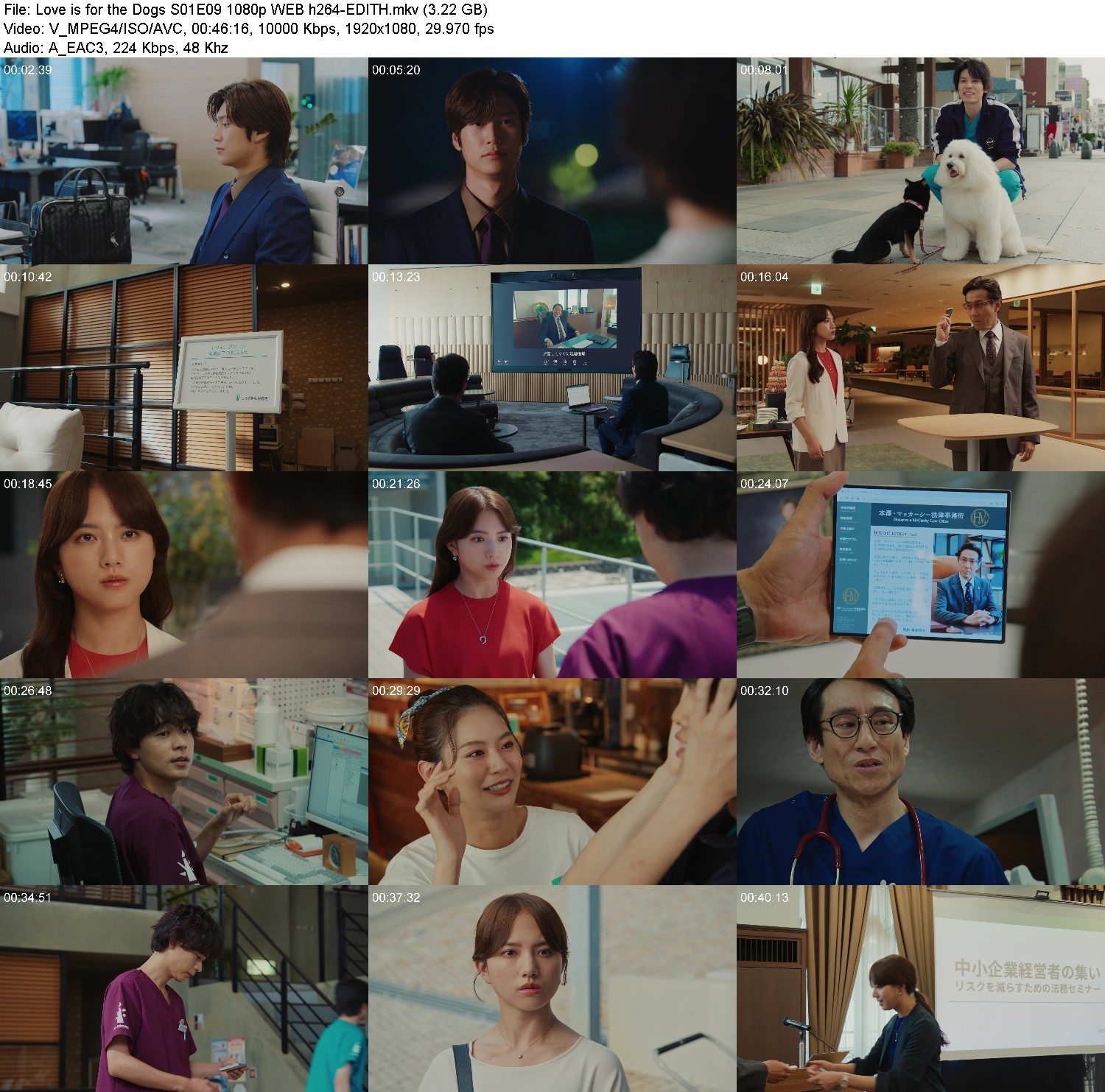 [Image: 9gbpy35b0ywz.jpg]