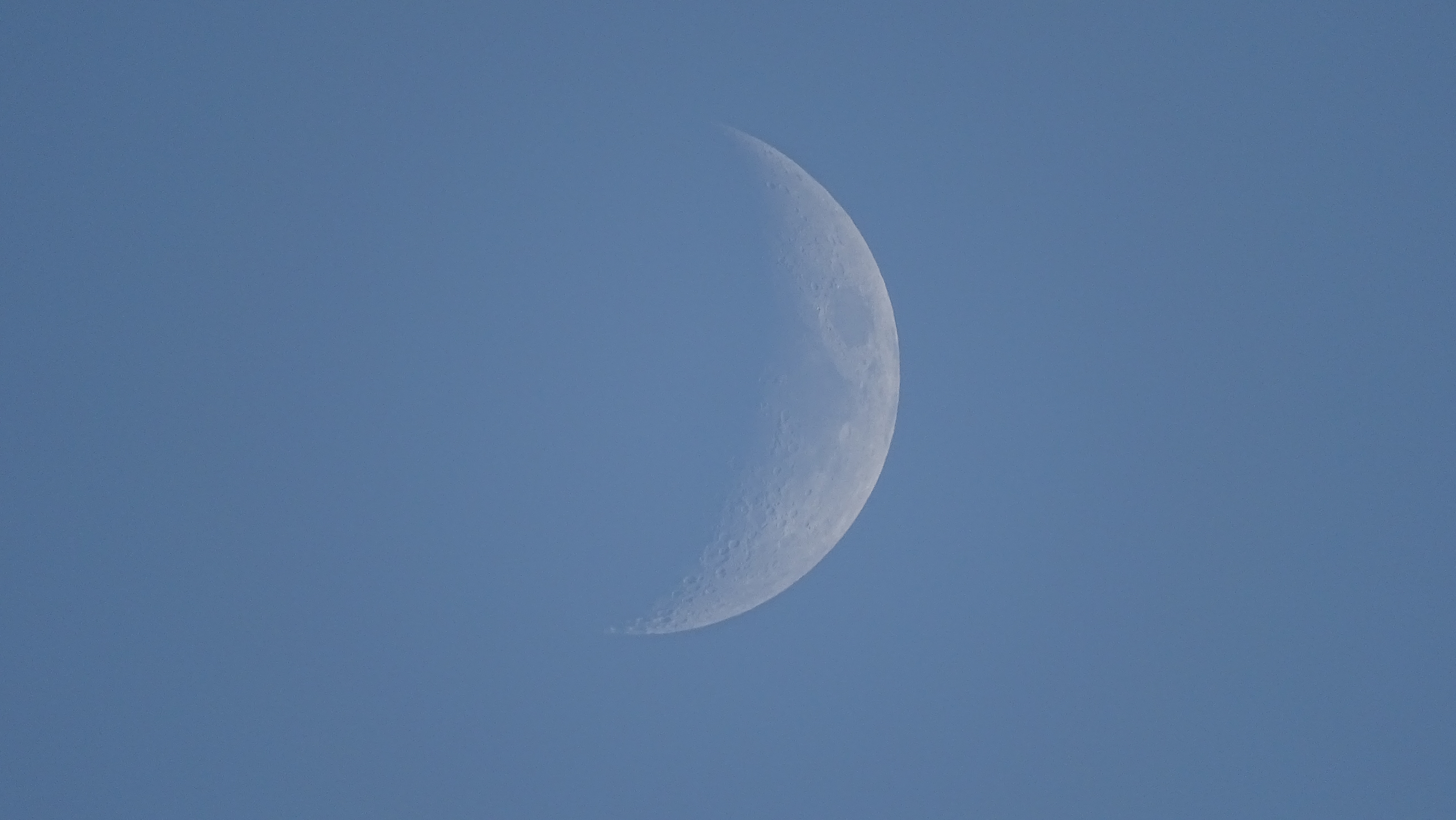 DSC02184.jpg