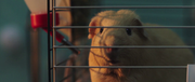 vlcsnap-2020-02-19-15h05m17s097.png