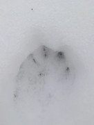 Whats App Image 2026 01 08 at 10 34 19