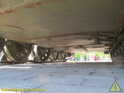 IMG-5593