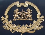 Logo-CIWL