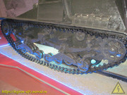 IMG-7377