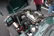 IMG_2969.jpg