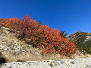 0B991E6E-72C5-4C27-B551-B8E7558BF841