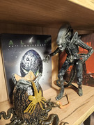 [Obrazek: 20241029-163657.jpg]