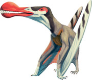 https://i.postimg.cc/jwDFjfRy/ornithocheirus-rebecca-groom.jpg