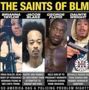blm-terrorist
