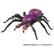 TL-11-Tarantulas-2