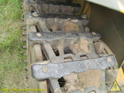 IMG-6568