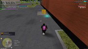 IMG-6481