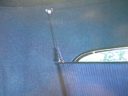 IMG-3358.jpg