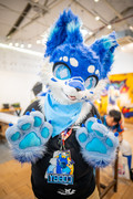 Cobby at FurGIV 2025