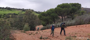 IMG-20251227-WA0007