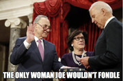 Schumers wife Biden wouldnt fondle