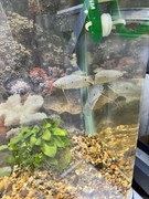 viber_изображение_2023-11-02_20-32-20-793