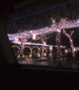 2021-02-09 09.12.02 2505431425064108524_27798948