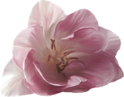 TADD-elements-Last-Dance-In-Paris-39