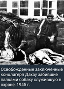 https://i.postimg.cc/jwZh7CZG/photo-2026-09-13-22-47-47.jpg