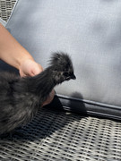 1CE281D0-F6C3-4FF4-85BC-02A0D84F8F02