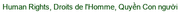 Vuot-Qua-Viet-Sub-Dark-Green-360x28