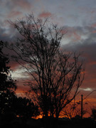 50.3.oncoming evening III