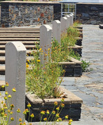 2025-01-29 12_17_38-Bethulie Kamp Kerkhof Boerenoorlog - Google Maps - Brave