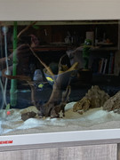 632FDD29-28AB-481F-8468-4B0A35DCF19F