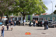 IMG-6595