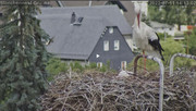 Kép