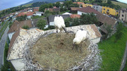 Kép