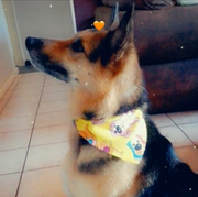 Jesse-Poobalan