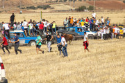 IMG-0433