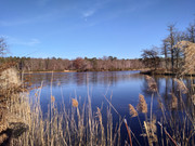 P-20220212-155810-v-HDR-On.jpg