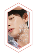 banner03chaeunwoofandom