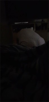 [Image: Voyeur40605124807.jpg]