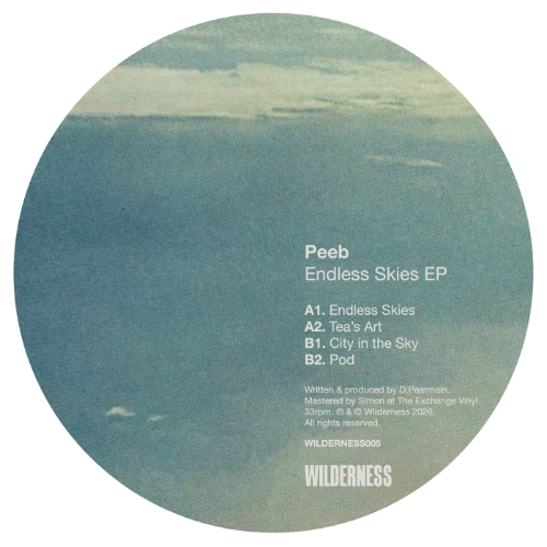 Peeb-Endless-Skies-EP-WILDERNESS005-WEB-