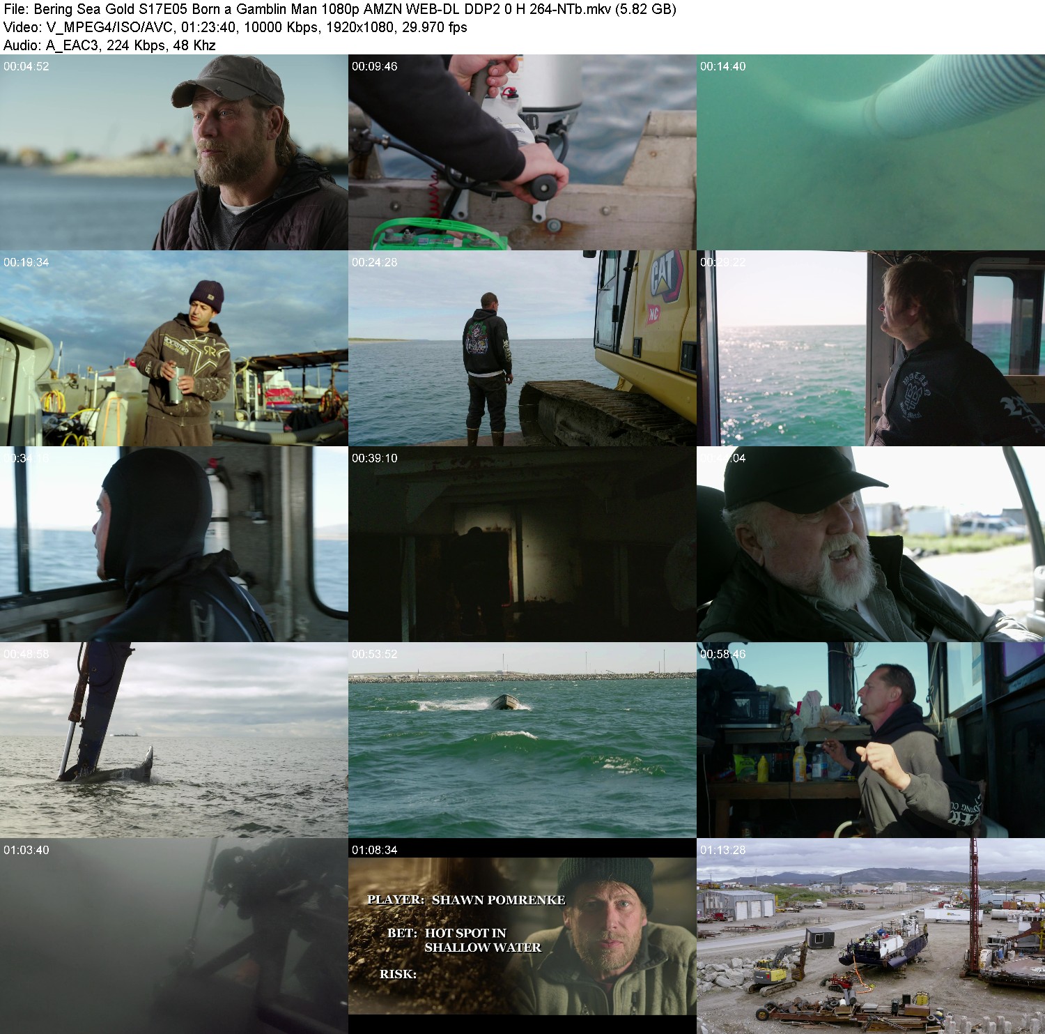 [Image: pp0xba01die4.jpg]