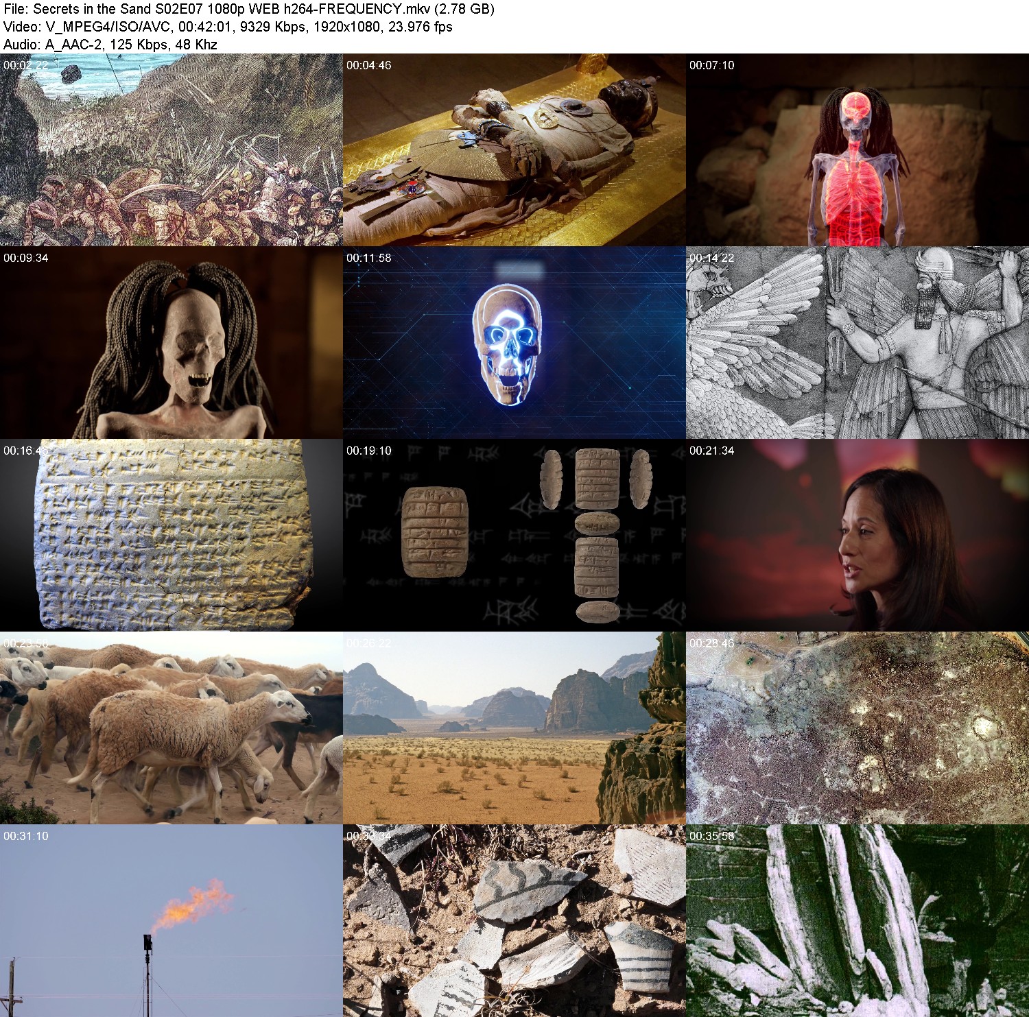 [Image: q7hwu2ky46tj.jpg]