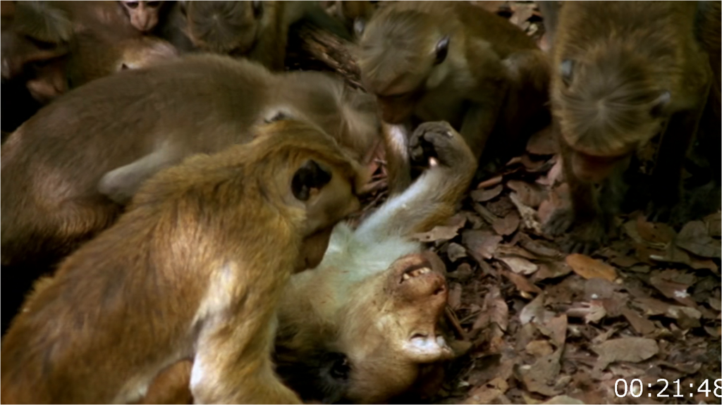 [Image: tykb58q70tdp.png]