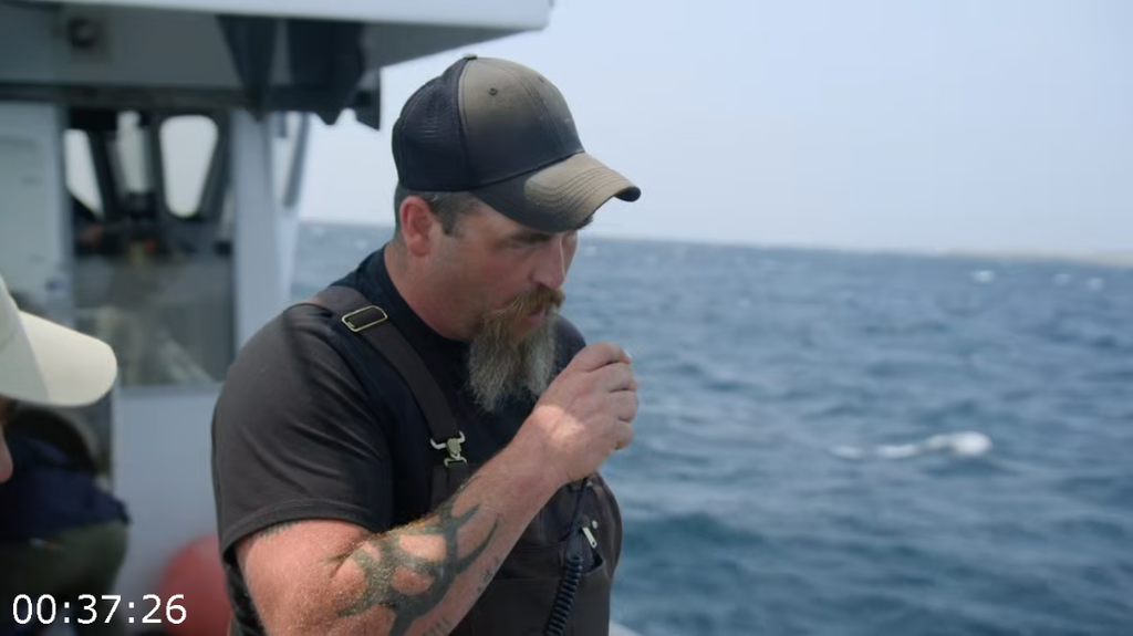 [Image: 4q56nplfpxz2.png]