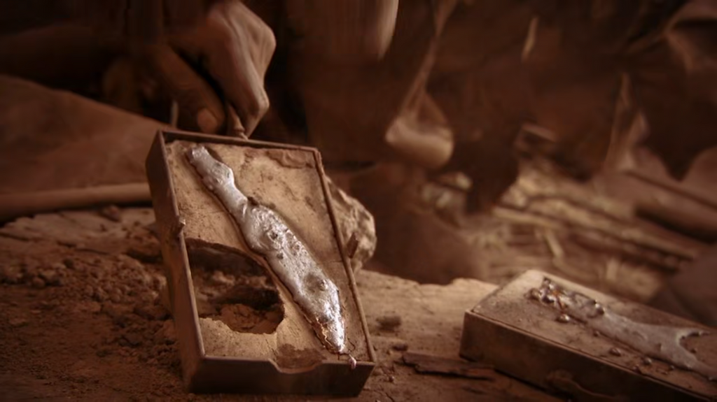 [Image: xibgx9aw8t42.png]