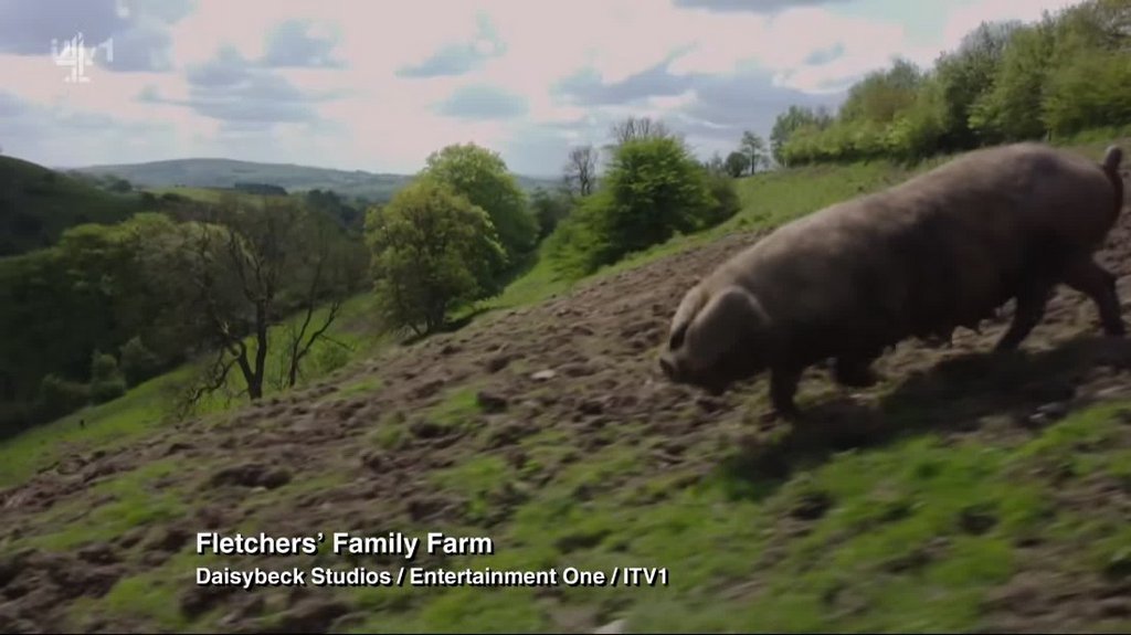 [Image: g5sm9mczz94f.jpg]