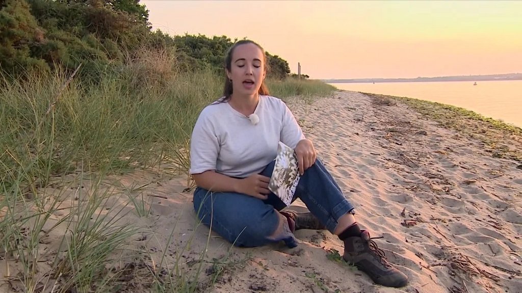 [Image: d66fxlhbgm24.jpg]